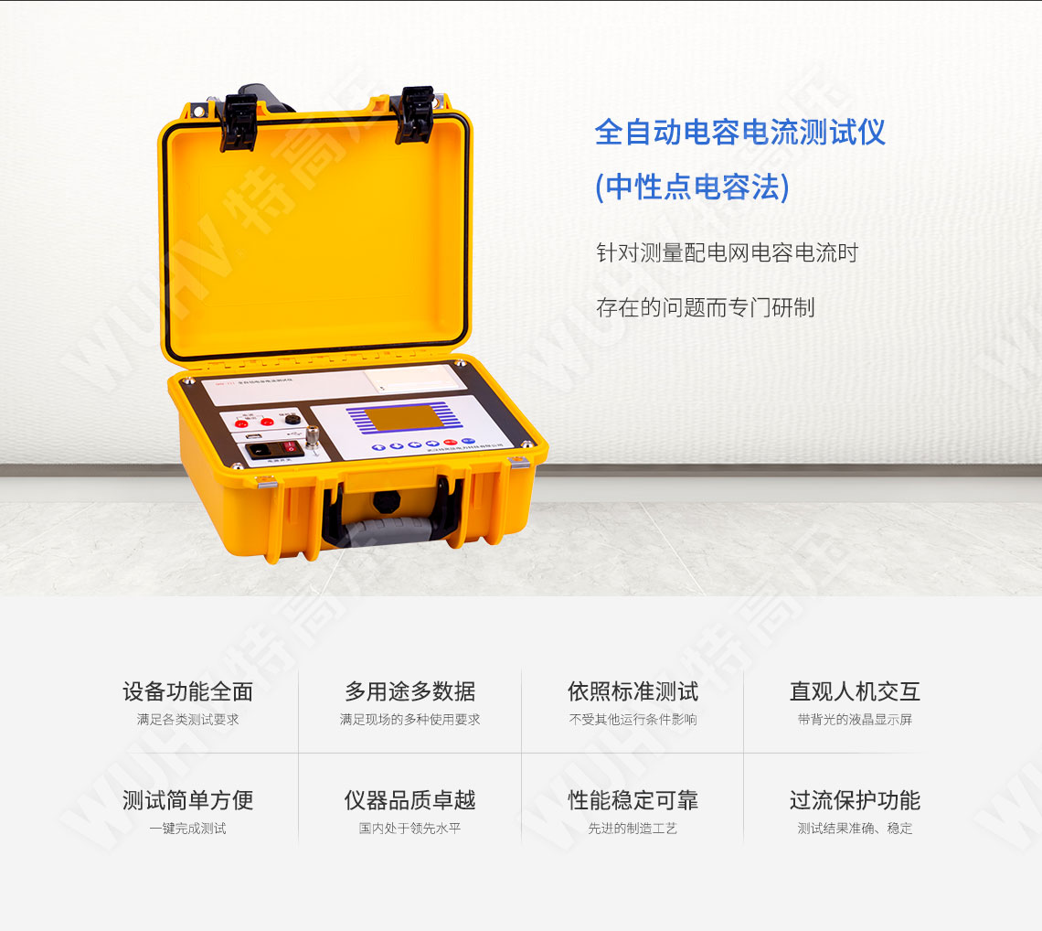電容漏電流測試儀