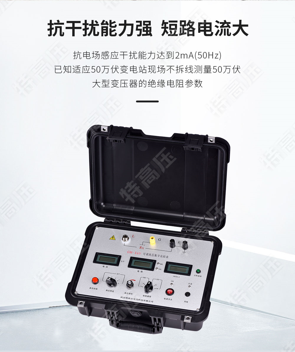 GM-5kV 可調(diào)高壓數(shù)字兆歐表(圖2)