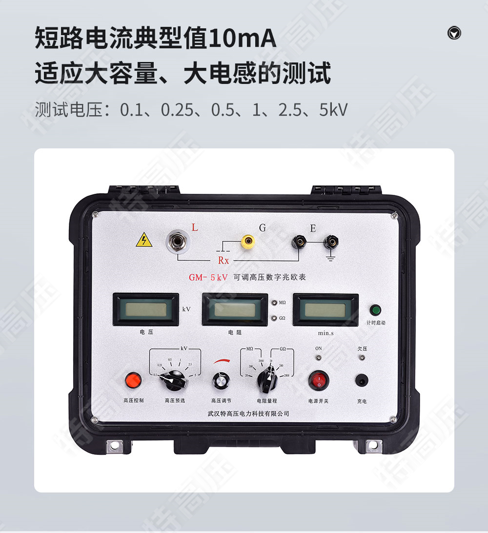 GM-5kV 可調(diào)高壓數(shù)字兆歐表(圖3)